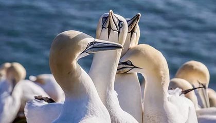 开云体育-约维奇再伤或告别2020年 他在皇马的日子到头了？